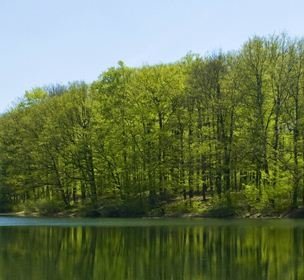 lac dans les vosges